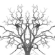 Illustration for article titled Shooting Challenge Rorschach Gallery